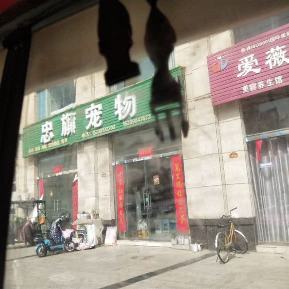 忠旗宠物店:焦作市沁阳市