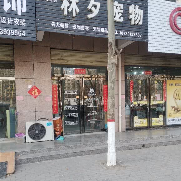 林夕宠物生活馆:焦作市沁阳市