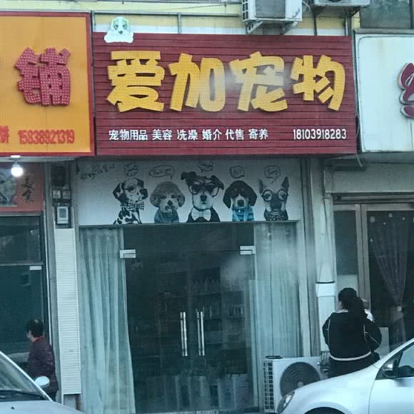 爱加宠物:焦作市孟州市