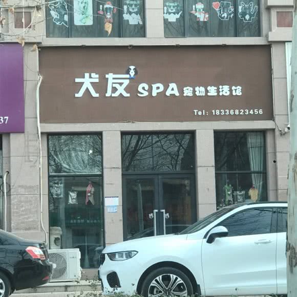 犬友SPA宠物生活馆:焦作市孟州市