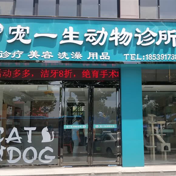 宠一生动物诊所:焦作市孟州市