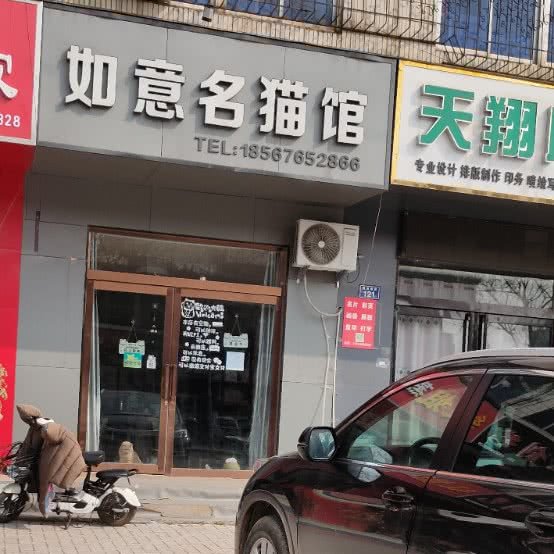 如意名猫馆:濮阳市华龙区