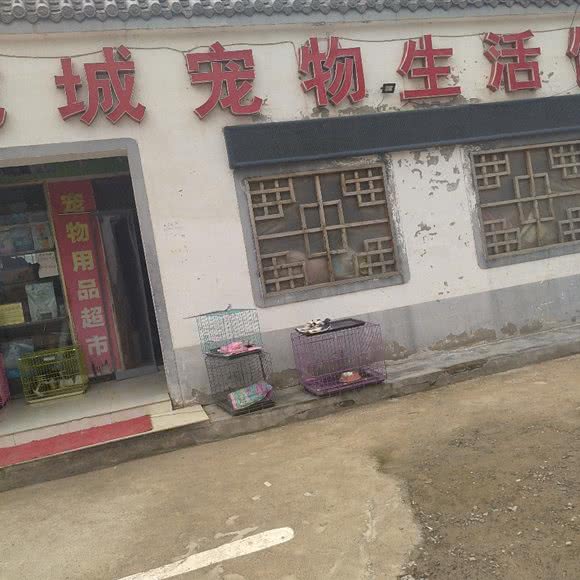 龙城宠物生活馆:濮阳市华龙区