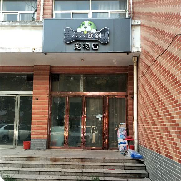 六六驾到宠物店:濮阳市华龙区