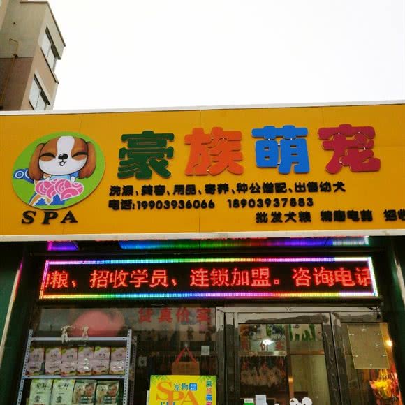 豪族萌宠:濮阳市华龙区