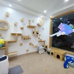 狸?奴 名猫馆:濮阳市华龙区