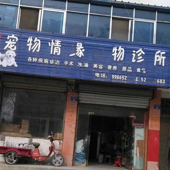 宠物情缘动物诊所:濮阳市华龙区