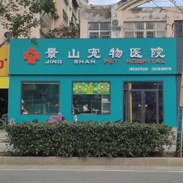 景山宠物医院:濮阳市华龙区