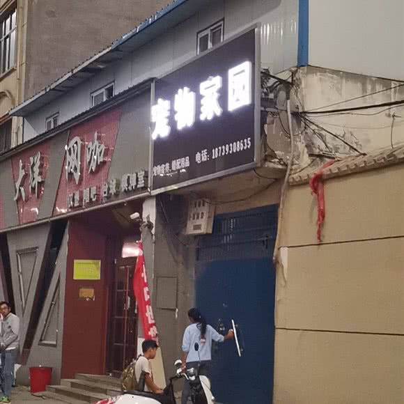 宠物家园:濮阳市清丰县