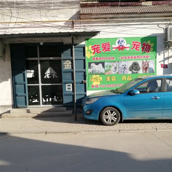 宠爱宠物:濮阳市南乐县