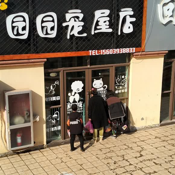 园园宠屋店:濮阳市濮阳县