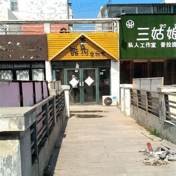 酷狗宠物店:濮阳市濮阳县