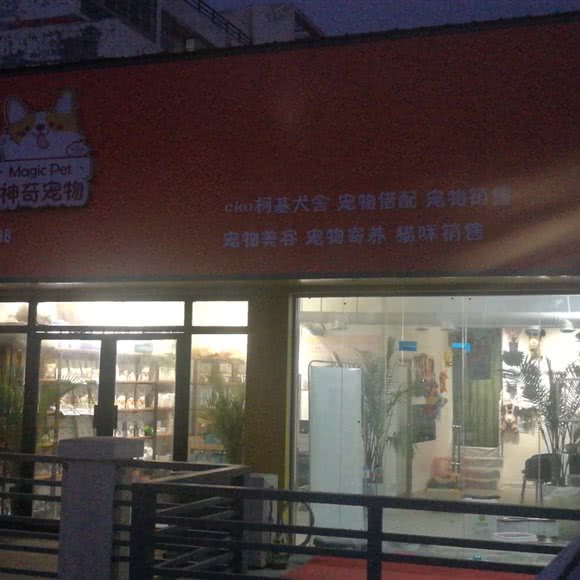 神奇宠物:濮阳市濮阳县