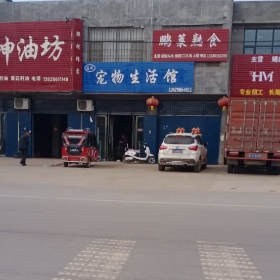 宠物生活馆:濮阳市濮阳县