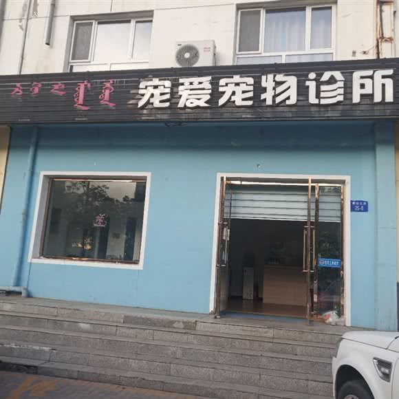 宠爱宠物诊所:乌海市海勃湾区建设路附近