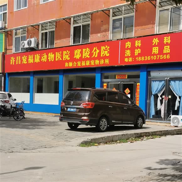 许昌宠福康动物医院(鄢陵分院):许昌市鄢陵县