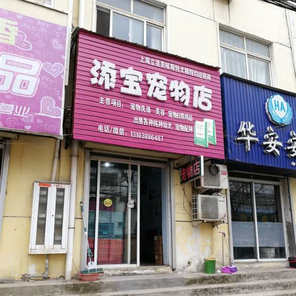 添宝宠物店:许昌市襄城县