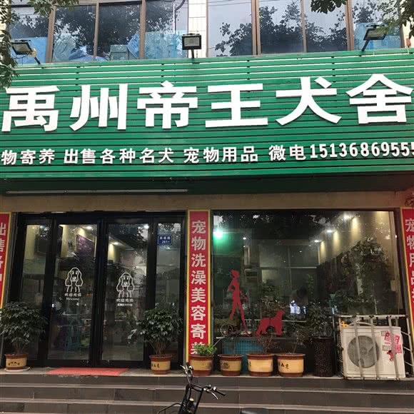 天子宠物会所:许昌市禹州市