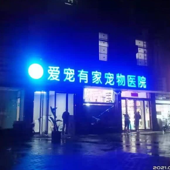 爱宠有家宠物医院(彩虹桥总店):许昌市禹州市