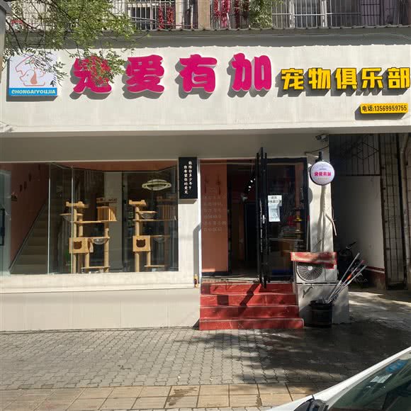 宠爱有加:许昌市长葛市