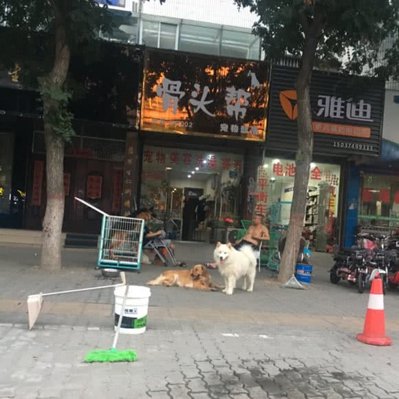 骨头帮宠物部落:许昌市长葛市