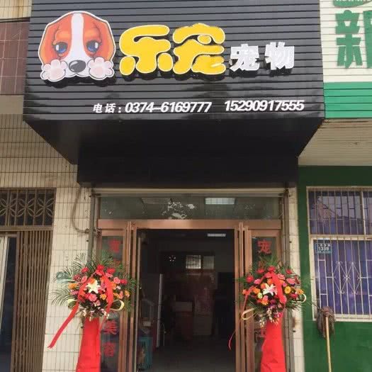 乐宠宠物:许昌市长葛市