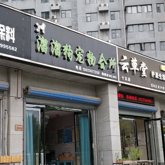 溜溜狗宠物会所(no.001):许昌市长葛市