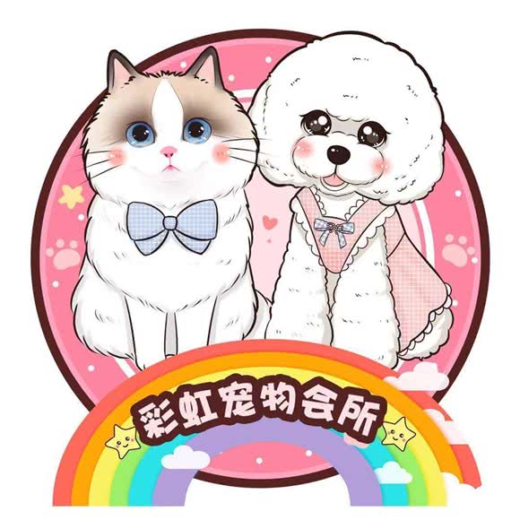 彩虹宠物:许昌市长葛市