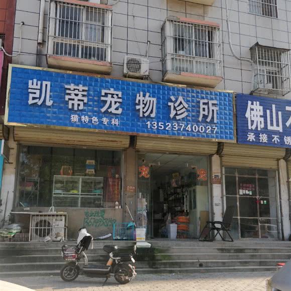 凯蒂宠物诊所:许昌市长葛市