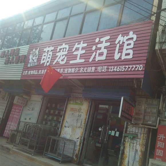 萌宠生活馆:漯河市舞阳县