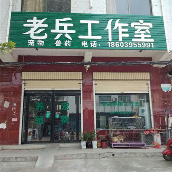 老兵宠物养殖工作室:漯河市舞阳县