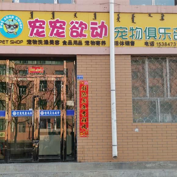 宠宠欲动宠物俱乐部:乌海市乌达区团结路附近
