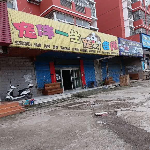 宠伴一生宠物会所:三门峡市渑池县