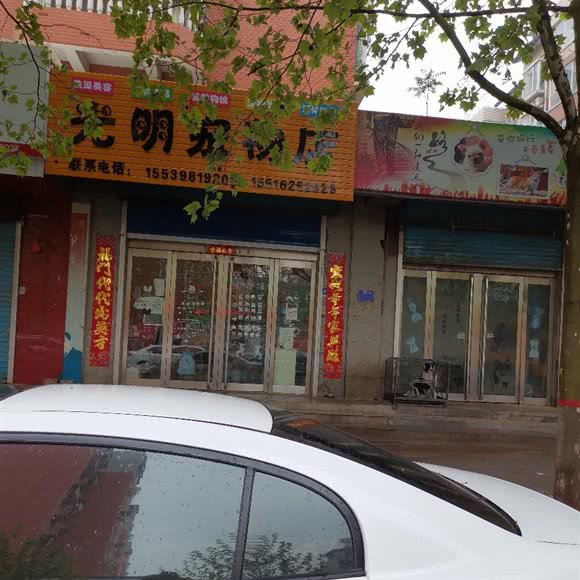 光明宠物店:三门峡市渑池县