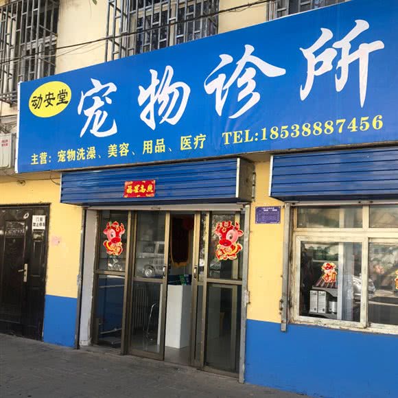 动安堂宠物诊所:三门峡市渑池县