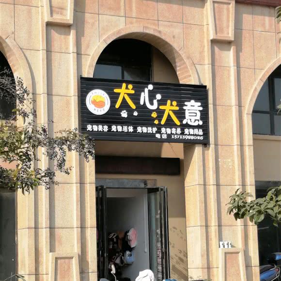 犬心犬意:三门峡市义马市