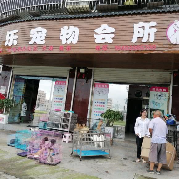 爱乐宠物会所:三门峡市灵宝市