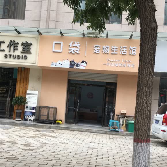 口袋宠物生活馆:三门峡市灵宝市
