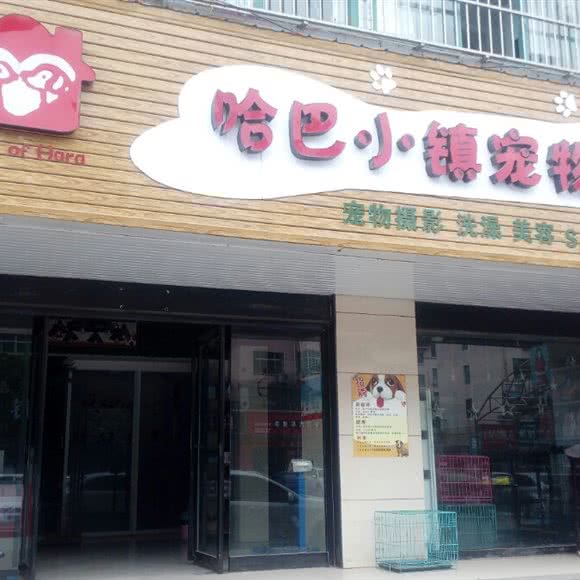 哈巴小镇宠物会所:三门峡市灵宝市