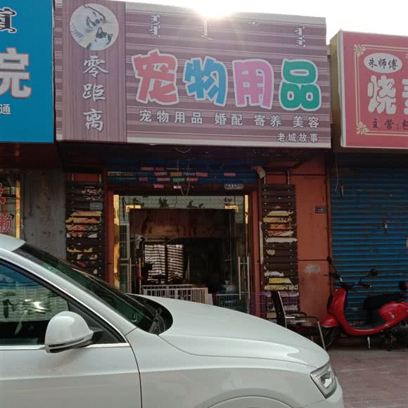 零距离宠物用品:赤峰市红山区红山区步行街附近