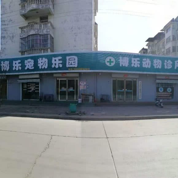 博乐动物诊所:三门峡市灵宝市