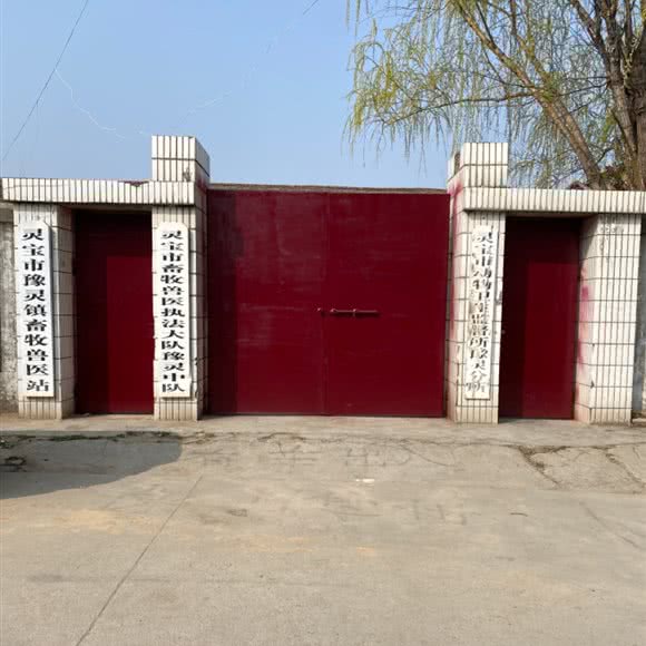 灵宝市豫灵镇畜牧兽医站:三门峡市灵宝市