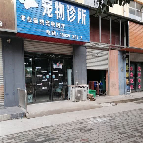 盼盼宠物诊所:三门峡市灵宝市