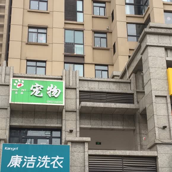贝贝宠物:南阳市宛城区