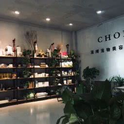 宠搏宠物(茶城店):南阳市宛城区
