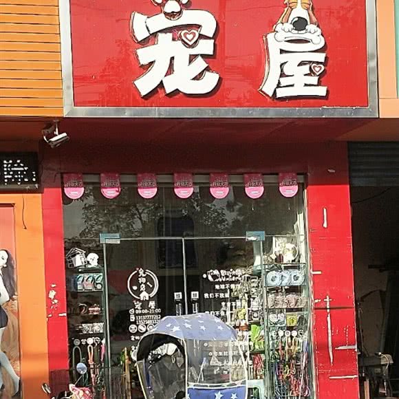 宠屋:南阳市卧龙区