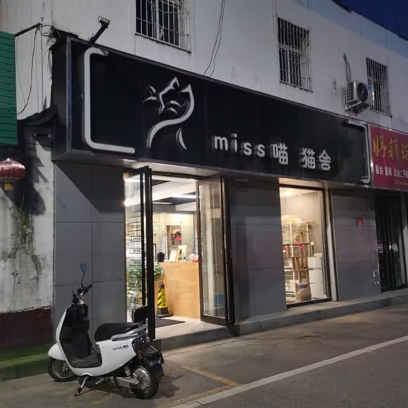miss喵·猫舍:南阳市卧龙区