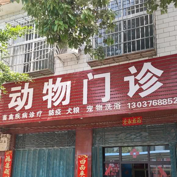 动物门诊:南阳市卧龙区
