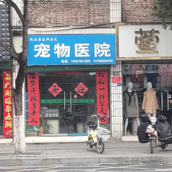 宠物医院:南阳市南召县