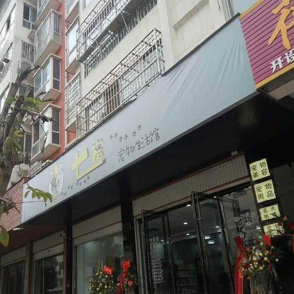 七宠宠物生活馆:南阳市方城县